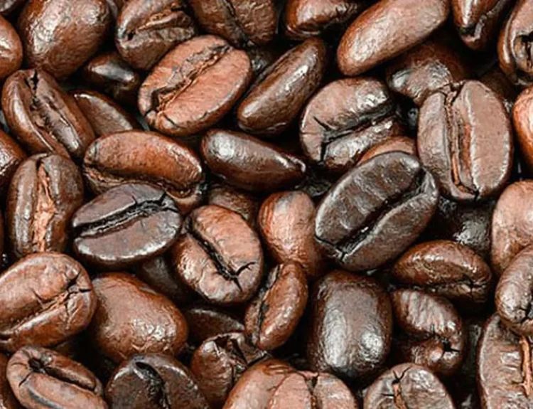 Olahan Kopi Arabika