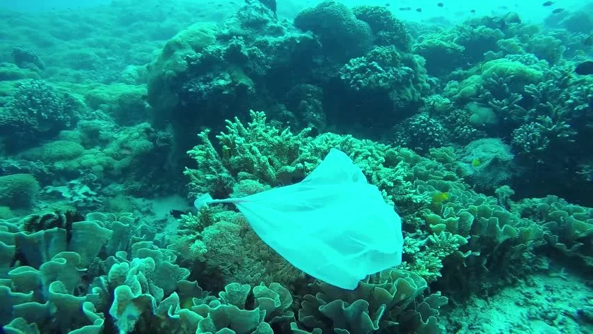 Patroli Laut Hijau