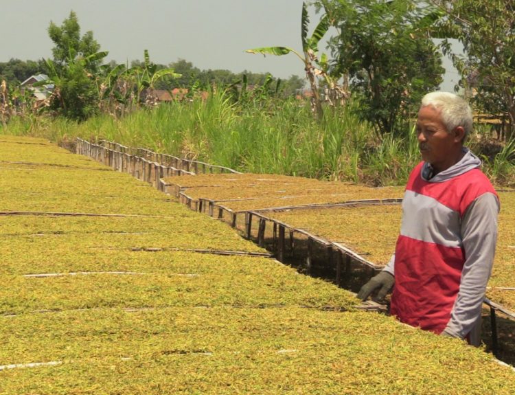 Perajang tembakau