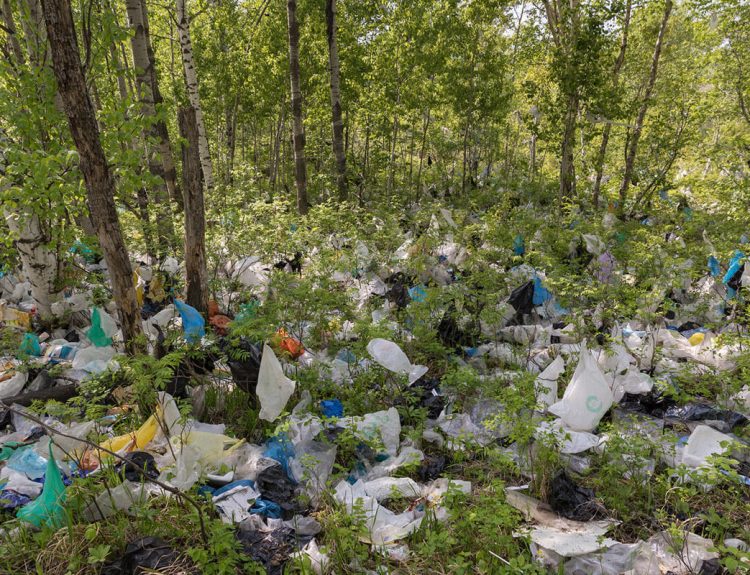 Dampak Plastik pada Hewan