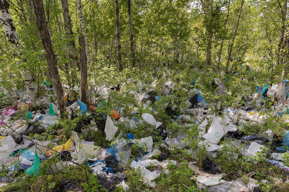 Dampak Plastik pada Hewan