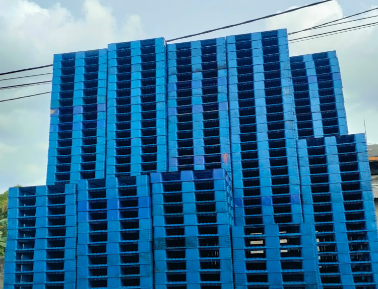 Pallet plastik bekas murah