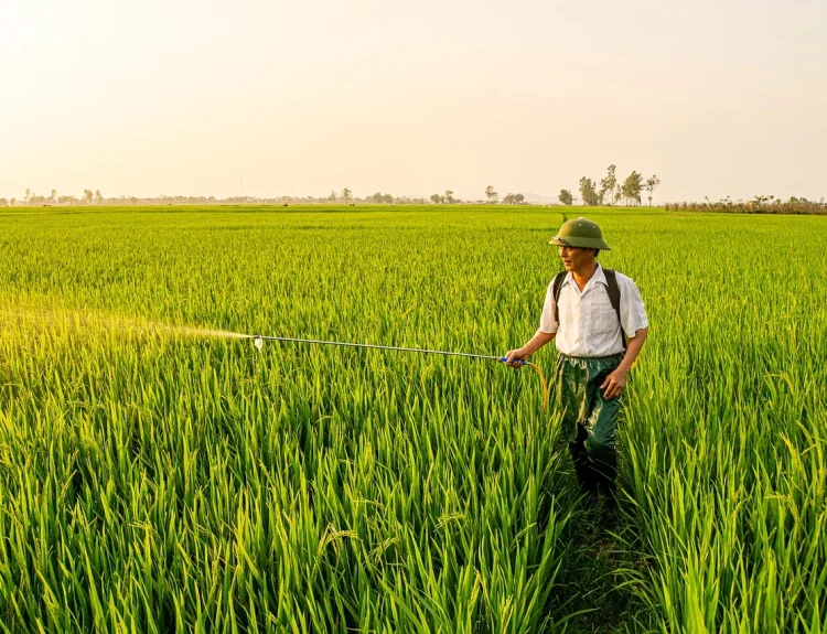 alat bantu kerja pertanian
