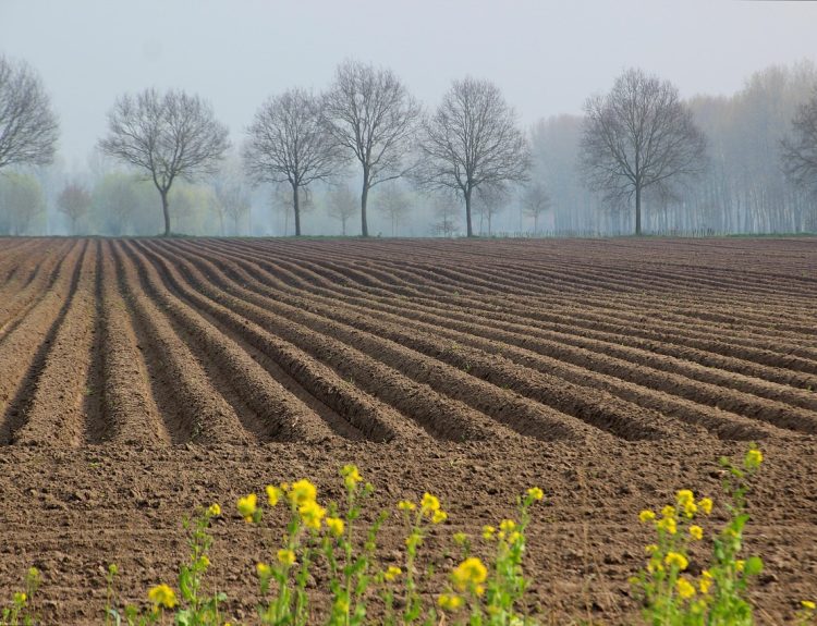 teknik persiapan lahan modern