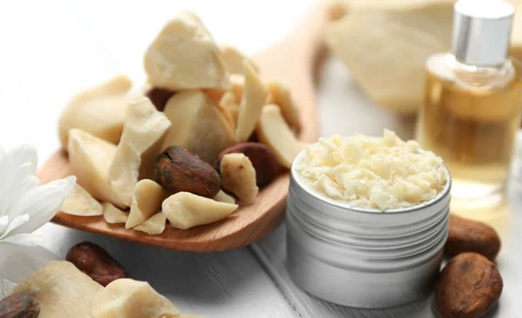 cara ekstraksi minyak biji kakao efektif