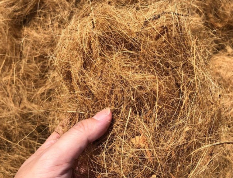 Bisnis Serat Sabut Kelapa