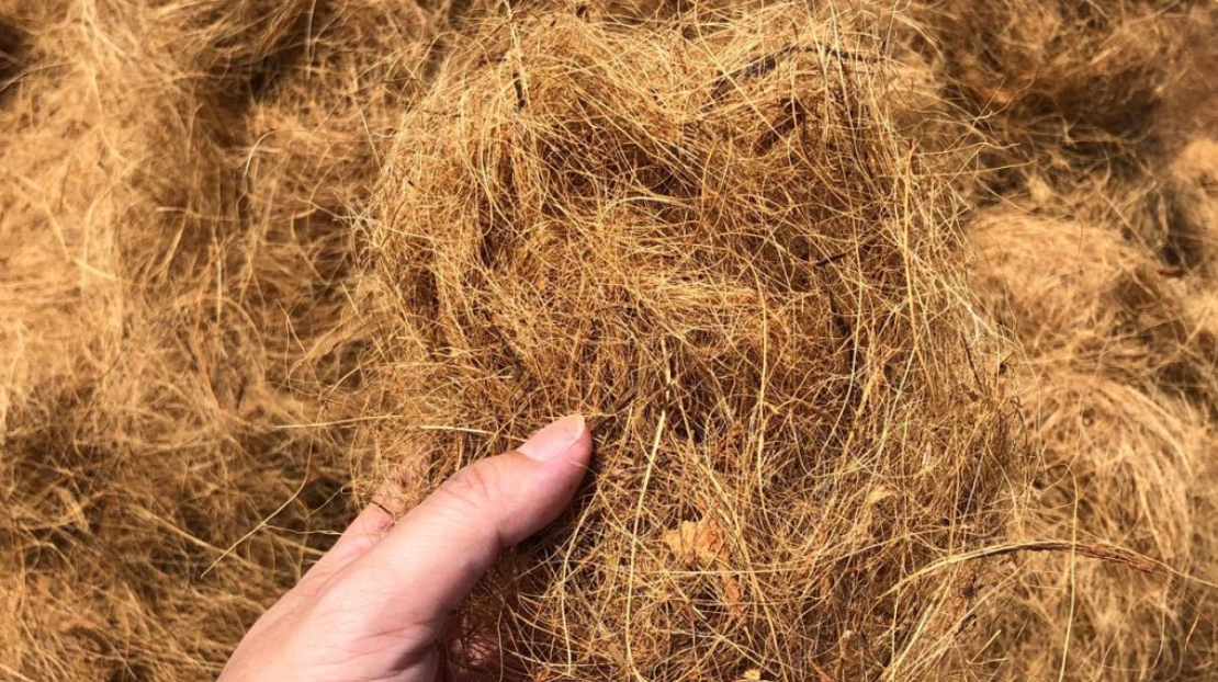 Bisnis Serat Sabut Kelapa